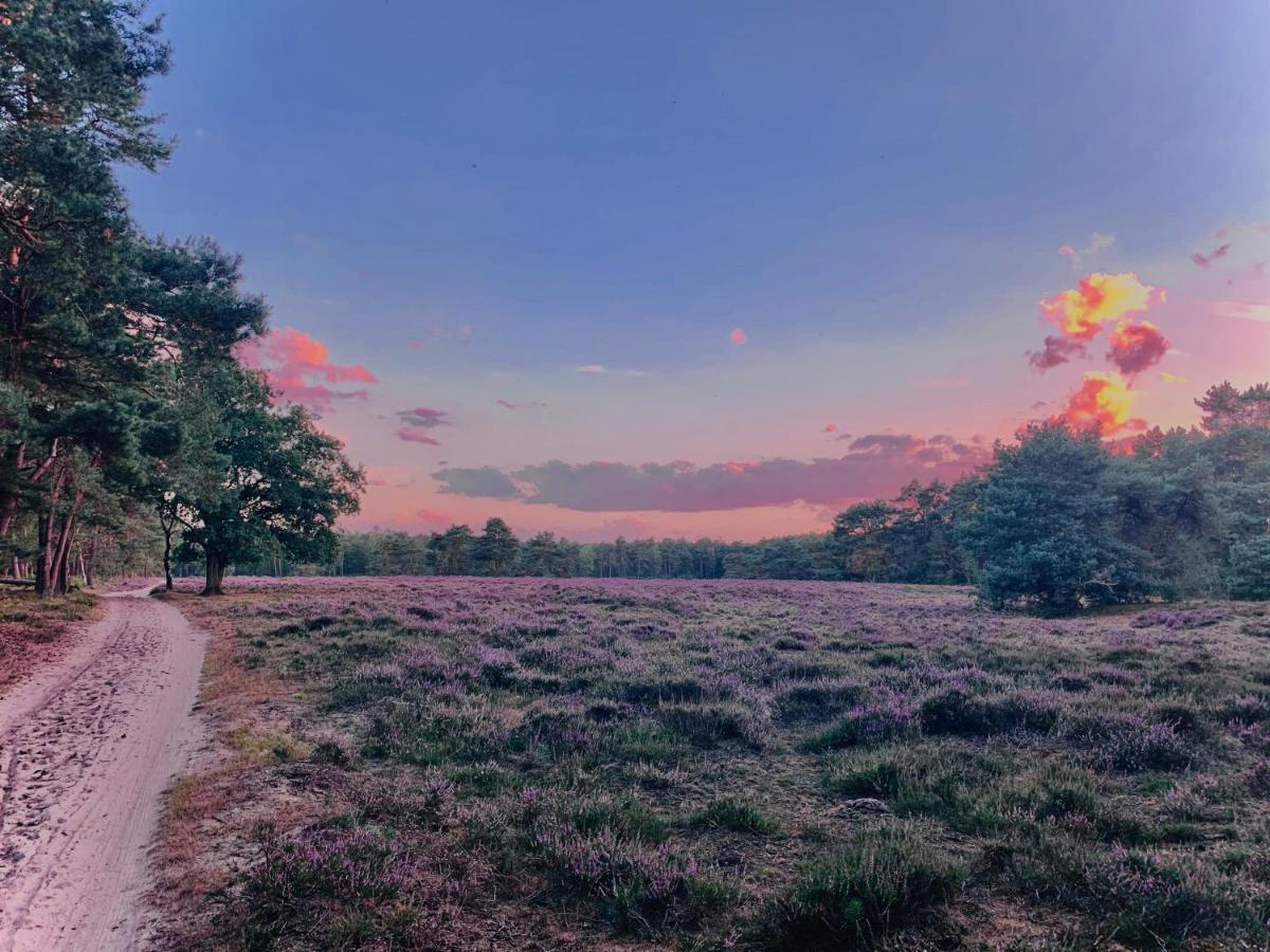 Rode Bosuil: Thuiskomen Op De Veluwe! Otterlo Eksteriør billede